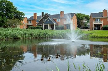 A fountain in the middle of a pond with ducks swimming in it.